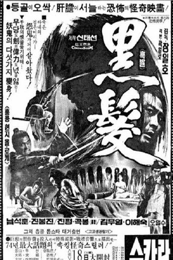 Poster of The Black Hair