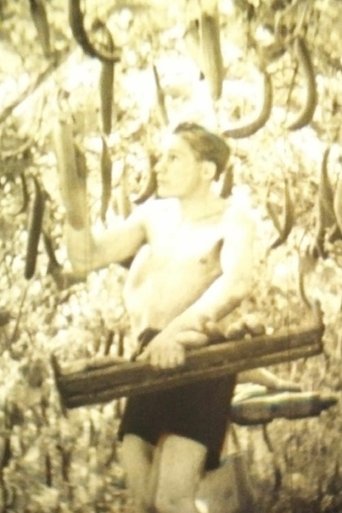 Neuzeitliche Moorkultivierung