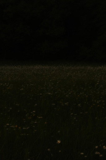 Border (2026)