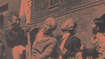 Hito Hata: Raise the Banner (1980)