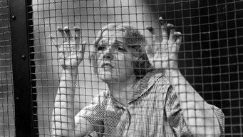 Night Court (1932)