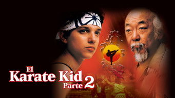 Galeria 2 - Karate Kid II, la historia continúa