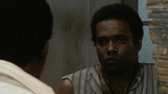 Episode 15 — Chapter 15