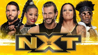 #33 WWE NXT