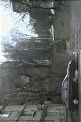Favorite Places (2009)