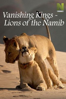 Vanishing Kings - Lions of the Namib poster