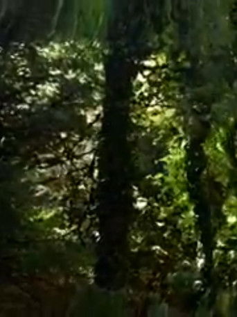 WHAT IS A MAN WITHOUT A SHADOW poster