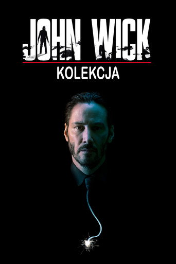 John Wick - Kolekcja