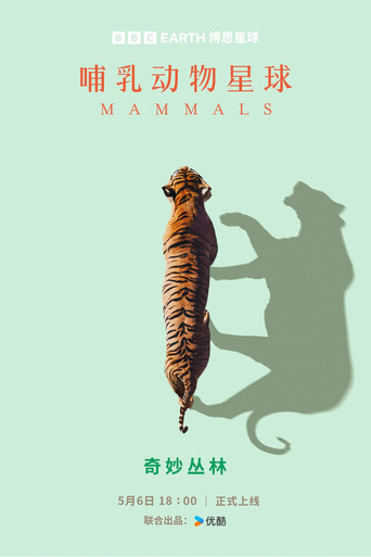 Mamíferos — Pôsteres 24