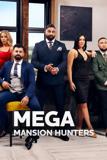 Mega Mansion Hunters poster