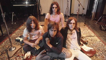 #5 Gimme Danger. Історія Іггі та The Stooges