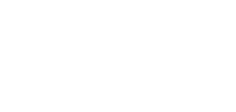The Cleaning Lady logo