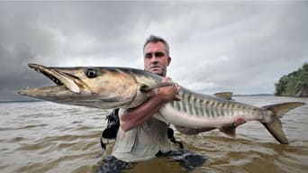 #1 Wild Catch/Chasing Monsters