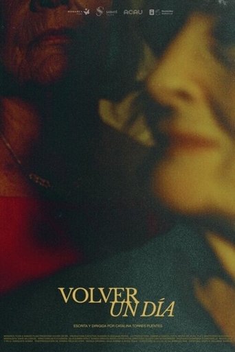 Volver un día poster