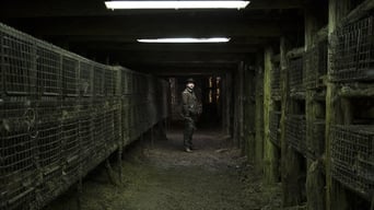 Galeria 2 - Spoor (El rastro)