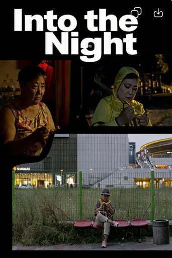 Affiche du film INTO THE NIGHT