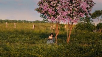 Episódio Hatsukoi da série First Love