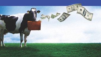 #5 Moola