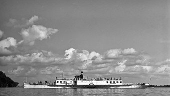 #30 The Cruise