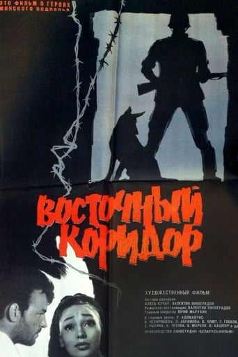 Poster of Восточный коридор