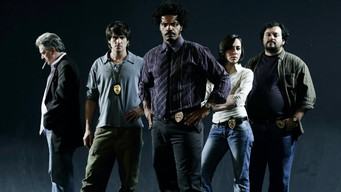 9mm: São Paulo (2008-2011)
