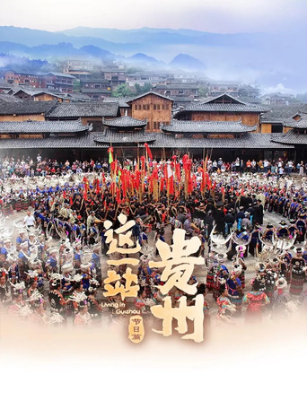 这一站，贵州 节日篇 poster