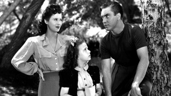 Obliging Young Lady (1942)