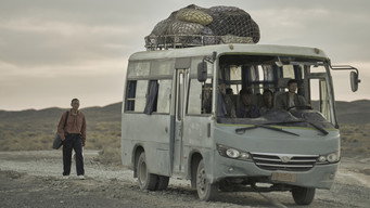 #6 Чорний пес