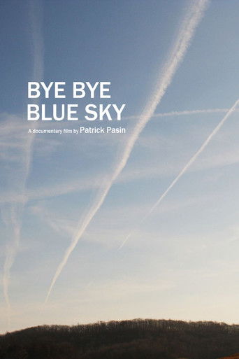 Bye Bye Blue Sky poster