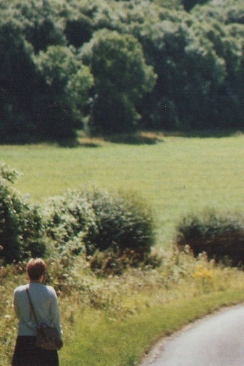 Memories Lost and Found II poster