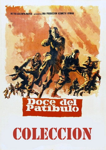 Doce del patíbulo - Colección