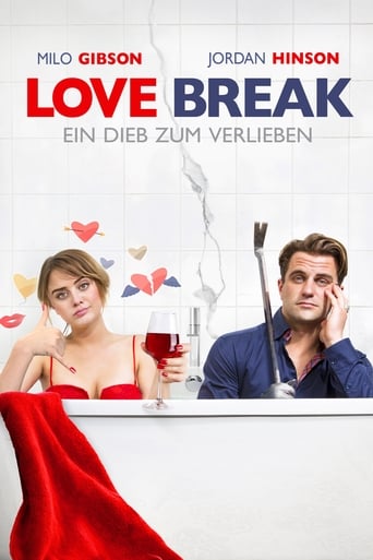 Love Break - Ein Dieb zum Verlieben