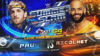 #8 WWE SummerSlam