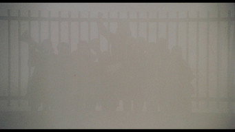 #8 The Working Class Goes to Heaven