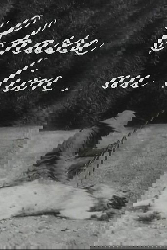 Chasse en Abyssinie: Chasse au Lion poster