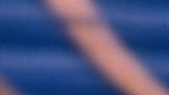 Couleurs mécaniques (1979)