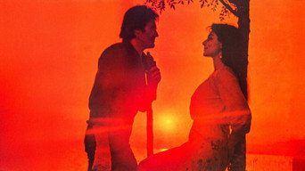 Kader Arkadasi (1981)
