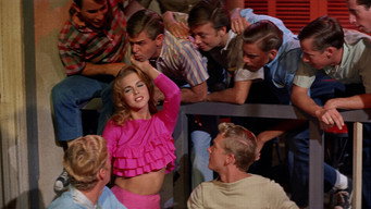 #18 Bye Bye Birdie