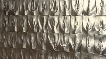 The Perfect Vagina (2008)