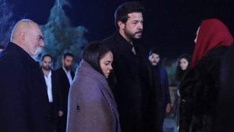 Episode 29
