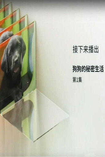 狗狗的秘密生活 poster