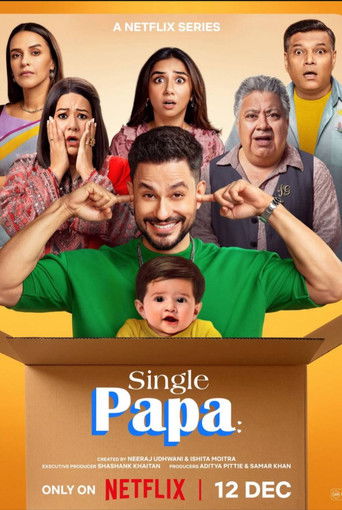 movie poster for single papa