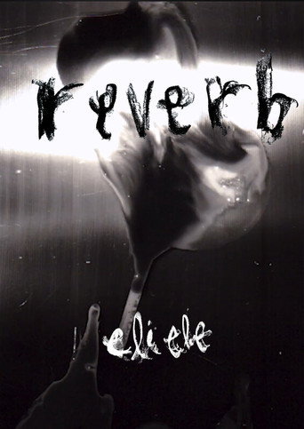 Reverb