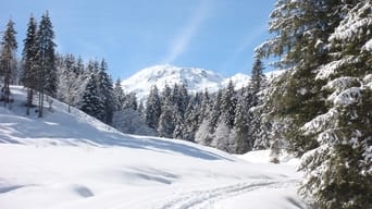 Weißblaue Wintergeschichten (1994-2018)