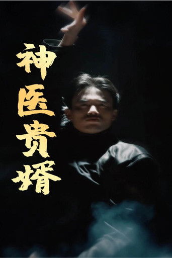 神医贵婿 poster