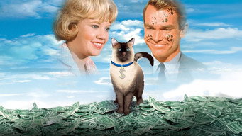#12 That Darn Cat!