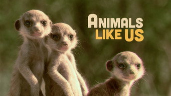 #4 Animals Like Us