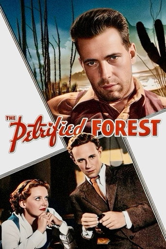 The Petrified Forest