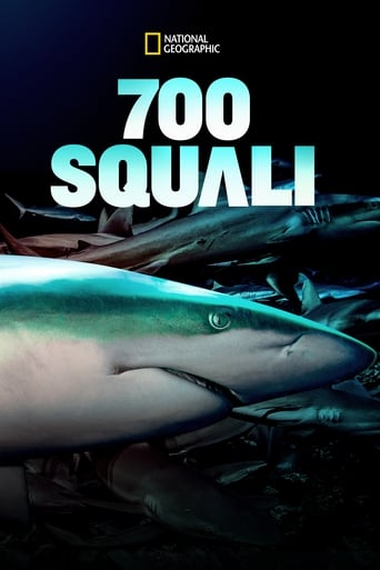 700 squali nella notte