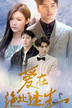 爱在绝处逢生 poster